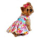 Fiesta Dress